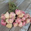 Dried Peonies - Soft Mixed Pink Peony Bunch Wedding Farmhouse Decor - Image 2