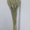 Natural Sage Green Bearded Wheat Bunch - Large 1lb Bunch - Farmhouse Style - Image 4