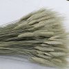 Natural Sage Green Bearded Wheat Bunch - Large 1lb Bunch - Farmhouse Style - Image 5