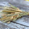Mixed Grains Bouquet, Soft Green and Natural Grains and Grasses - Image 2