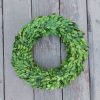 Preserved Boxwood Wreath, 14" Boxwood Wreath - Image 2