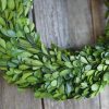Preserved Boxwood Wreath, 14" Boxwood Wreath - Image 3