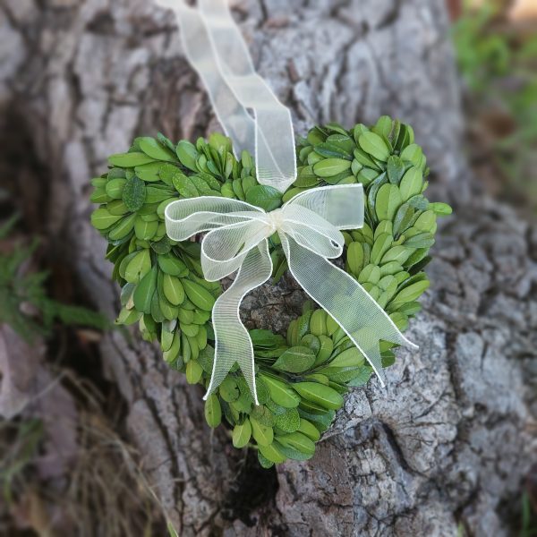 Preserved Boxwood Heart Wreaths With Sheer Ribbon - Small Heart Wreaths - Image 2