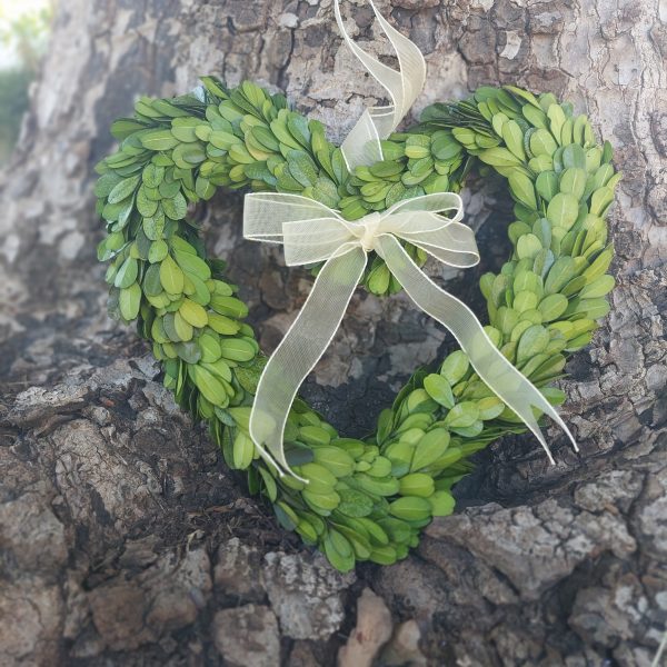 Preserved Boxwood Heart Wreaths With Sheer Ribbon - Small Heart Wreaths - Image 3