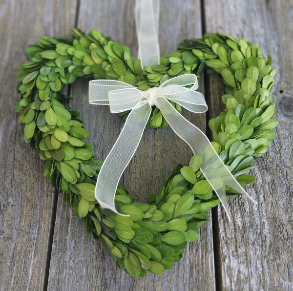 Preserved Boxwood Heart Wreaths With Sheer Ribbon - Small Heart Wreaths