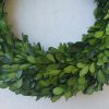 Preserved Boxwood Wreath Small, Mini Wreath With Ribbon - Image 3