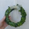 Preserved Boxwood Wreath Small, Mini Wreath With Ribbon - Image 2