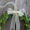 Preserved Boxwood Wreath Small, Mini Wreath With Ribbon - Image 5