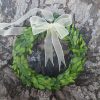 Preserved Boxwood Wreath Small, Mini Wreath With Ribbon