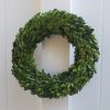 Preserved Boxwood Wreath, 14" Boxwood Wreath - Image 4