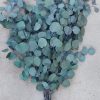 Silver Dollar Eucalyptus - Bundle of Preserved Green Eucalyptus 1lb Bunch - Image 6