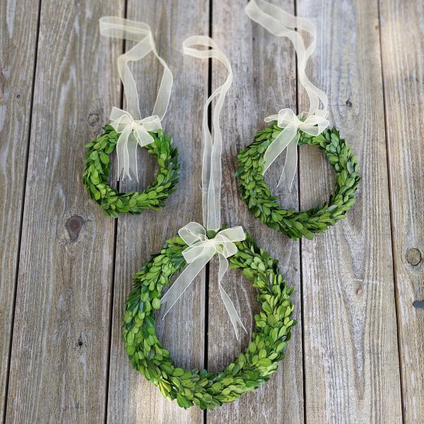 Set of 3 Mini Boxwood Wreaths for Farmhouse Decor Housewarming Gift