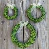 Set of 3 Mini Boxwood Wreaths for Farmhouse Decor Housewarming Gift - Image 2