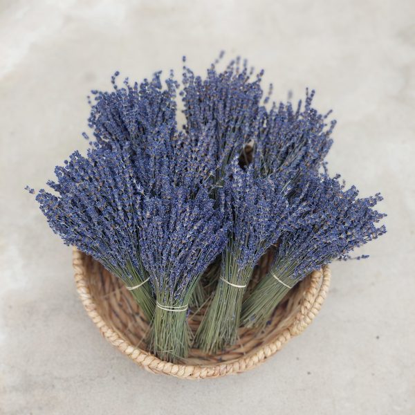 BULK Dried English Lavender Bunches