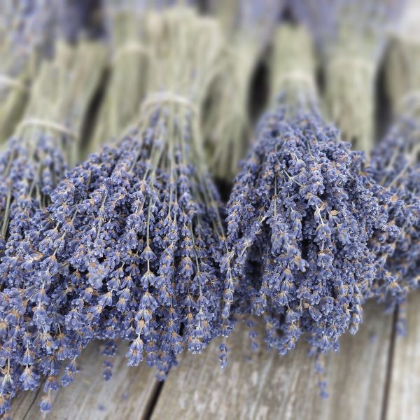 BULK Dried English Lavender Bunches for floral crafts and weddings - Very Fragrant with Beautiful Color