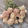 Dried Peonies (pink-blush) Bunch Pale-Pink Bridal Bouquet Wedding Flowers - Image 4
