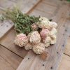 Dried Peonies (pink-blush) Bunch Pale-Pink Bridal Bouquet Wedding Flowers - Image 3