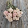 Dried Peonies (pink-blush) Bunch Pale-Pink Bridal Bouquet Wedding Flowers - Image 2