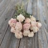 Dried Peonies (pink-blush) Bunch Pale-Pink Bridal Bouquet Wedding Flowers - Image 5