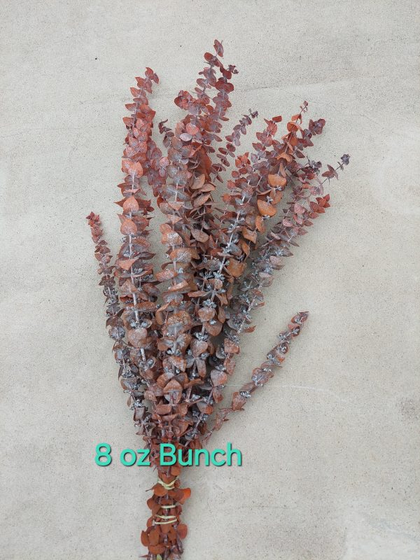 Preserved Frosted Burnt Orange Eucalyptus Fall Foliage Autumn Wedding Decor - Image 7