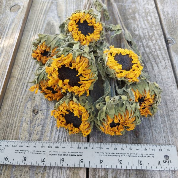 Dried Yellow Sunflowers - Golden Sunflower Bunch - Image 3