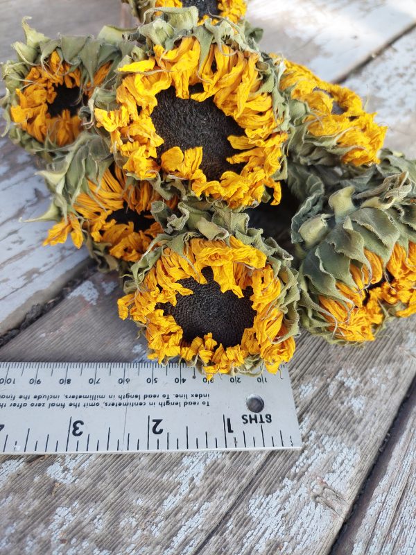 Dried Yellow Sunflowers - Golden Sunflower Bunch - Image 4