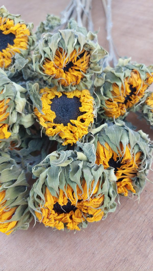 Dried Yellow Sunflowers - Golden Sunflower Bunch - Image 7