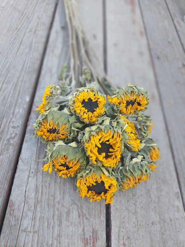 Dried Yellow Sunflowers - Golden Sunflower Bunch