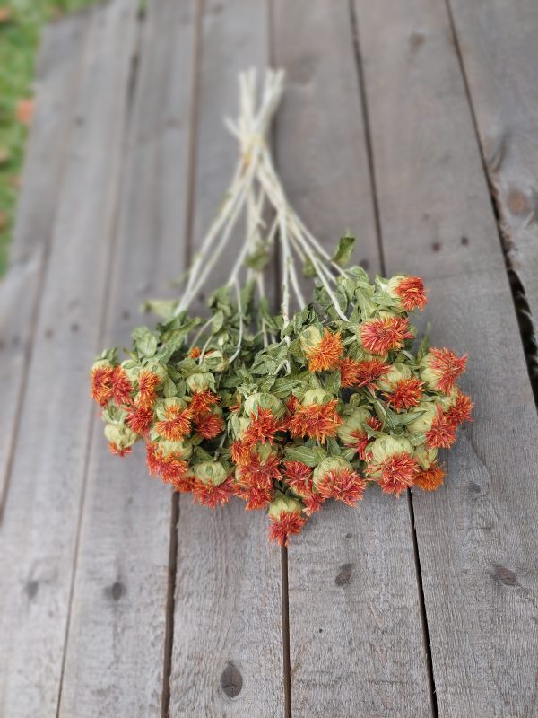 Vibrant Dried Safflower Bunch for Wedding Bouquets - Orange Carthamus Boho Chic Dried Flowers - Image 2